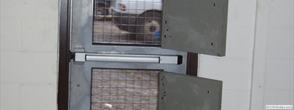 PA260048